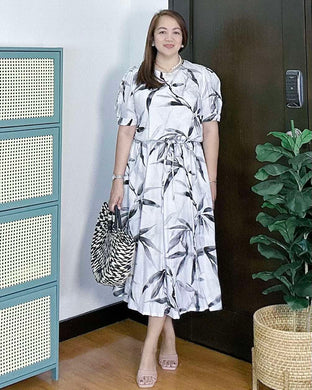 *Alexa Printed Dress 0056