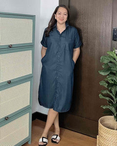 Nicole Plain Soft Denim Dress 0104